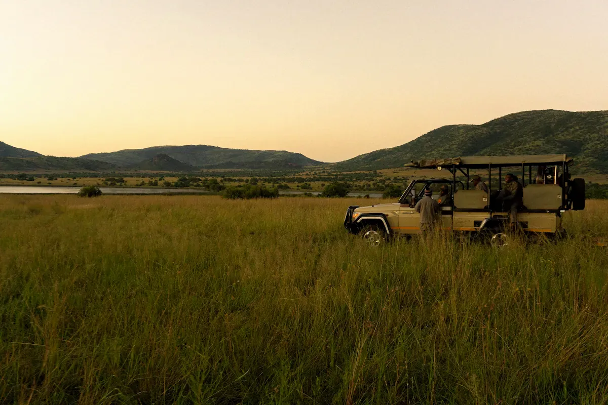 Golden hour over the savanna near Victoria Falls